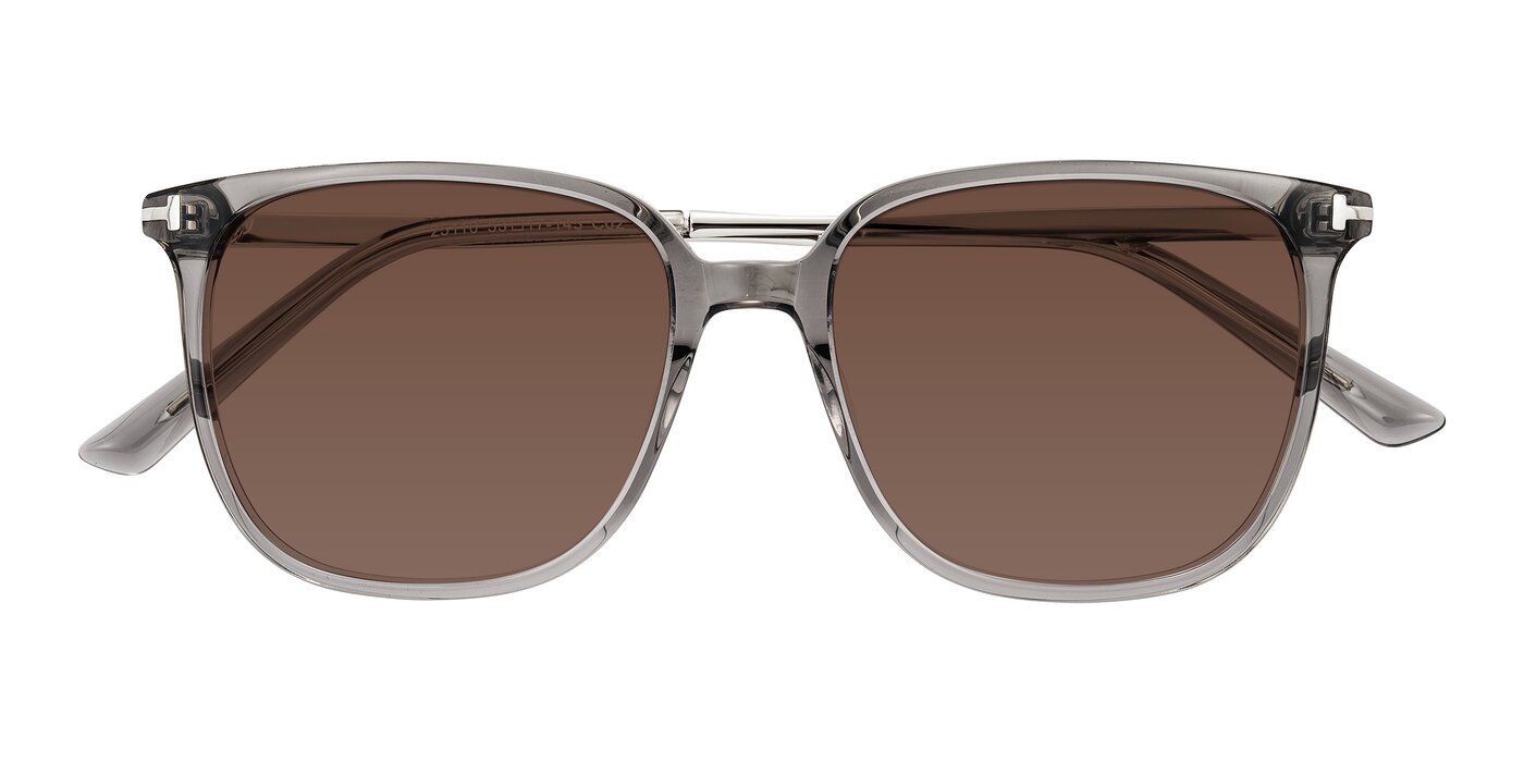 Trusten - Transparent Gray Tinted Sunglasses