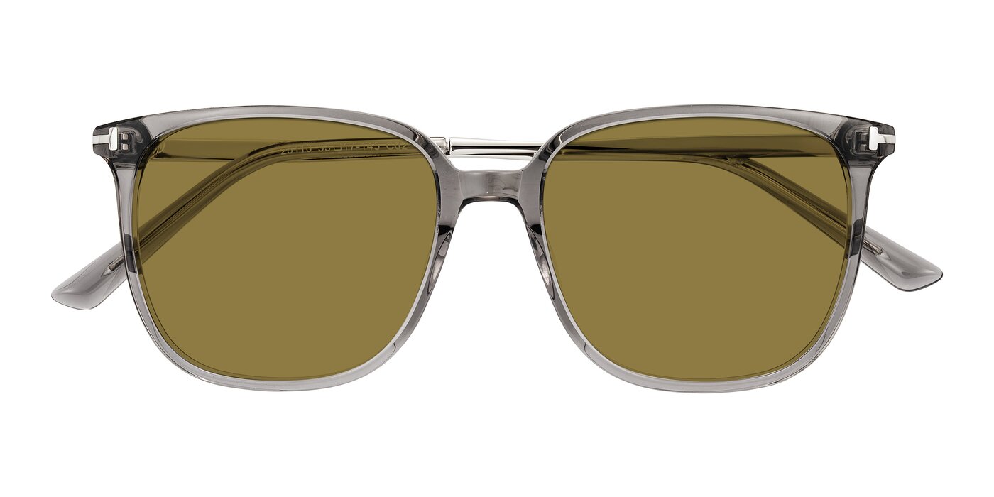 Trusten - Transparent Gray Polarized Sunglasses