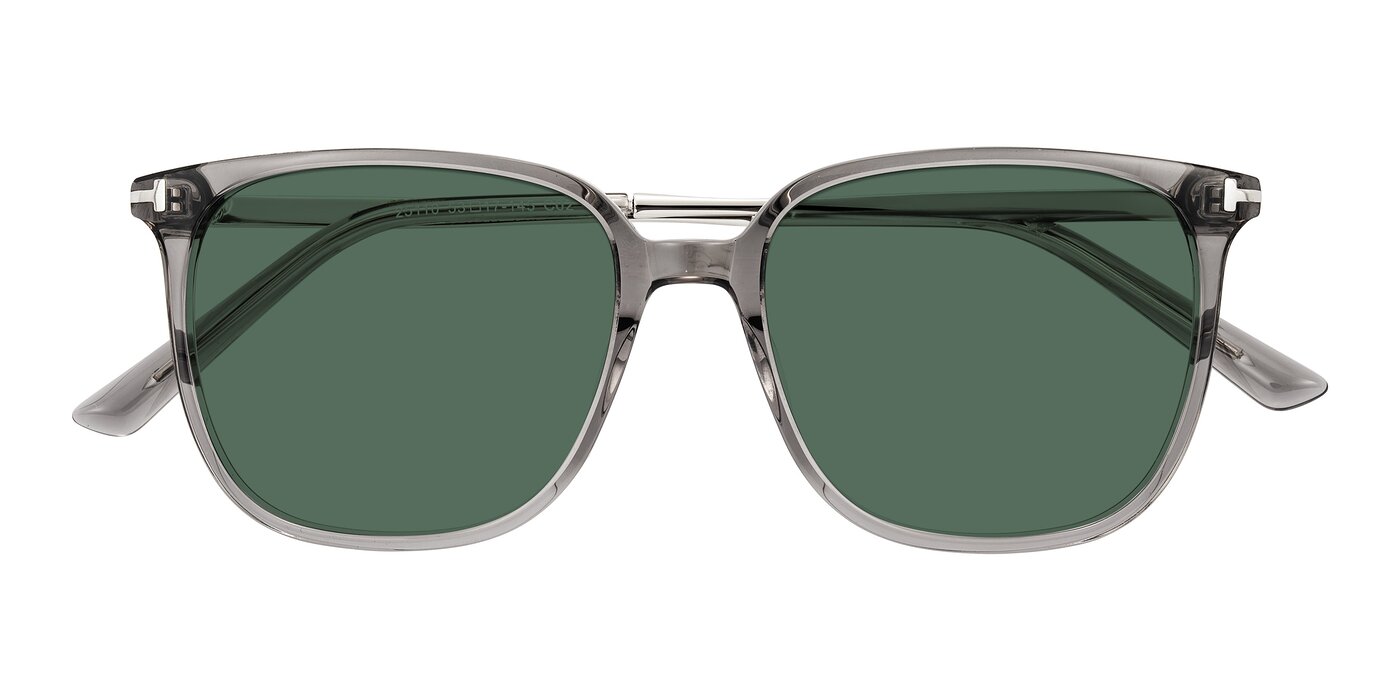 Trusten - Transparent Gray Polarized Sunglasses