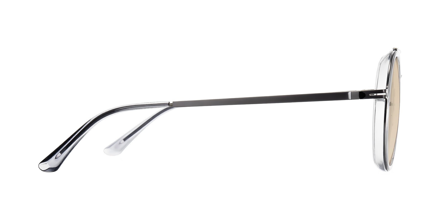 Side of Lodovico in Transparent Gray with Light Brown Tinted Lenses