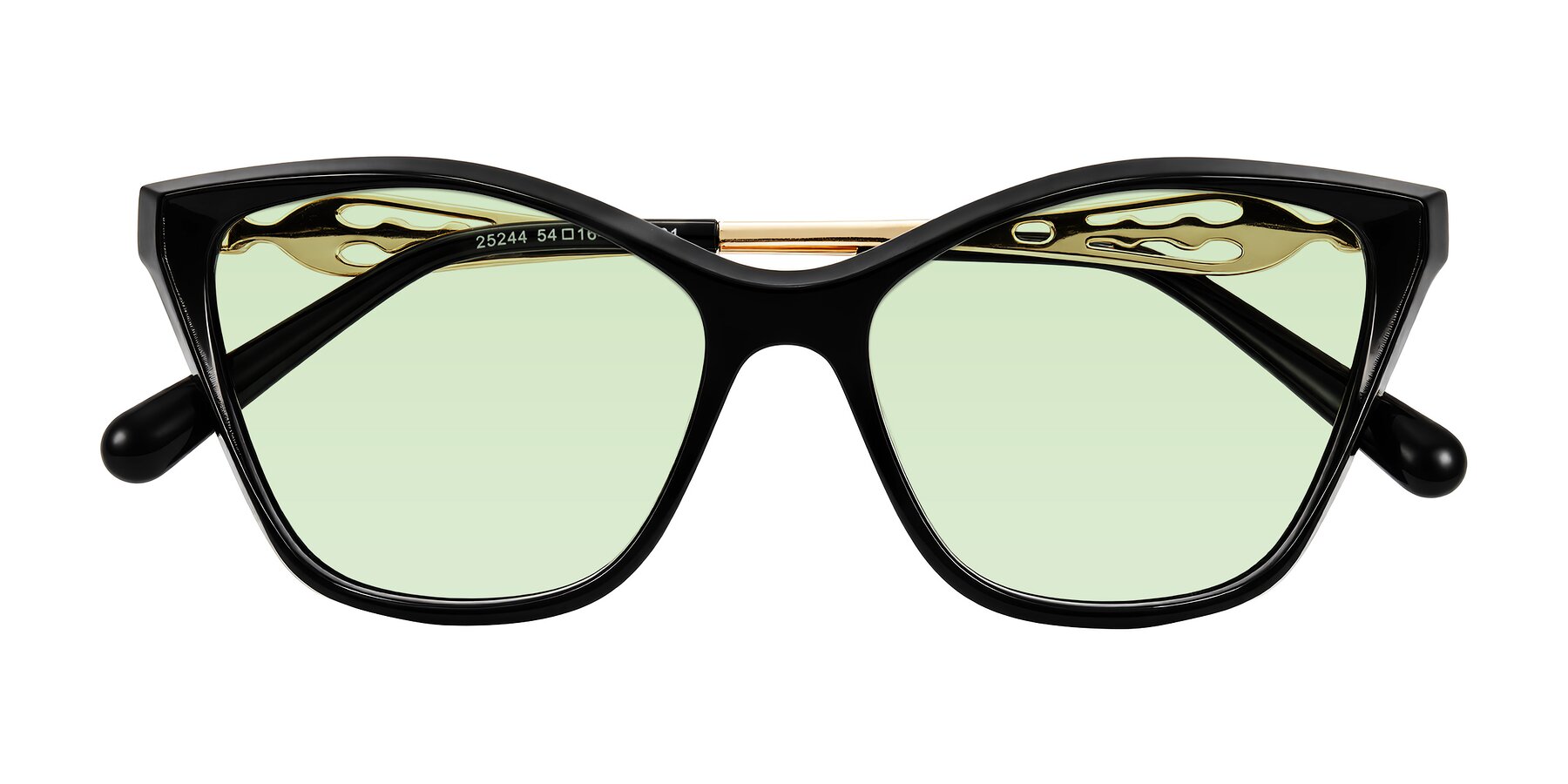 Folded Front of Aspen in Black with Light Green Tinted Lenses