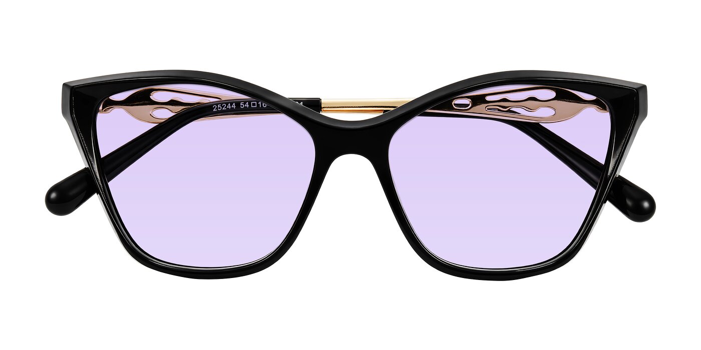 Aspen - Black Tinted Sunglasses
