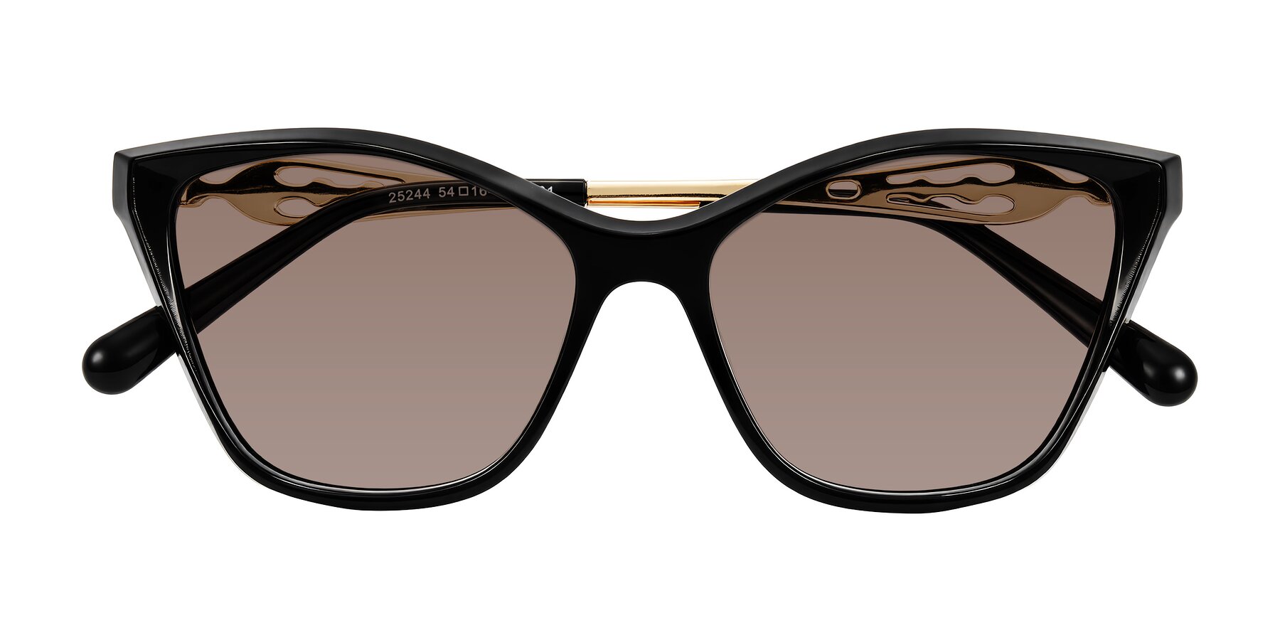 Folded Front of Aspen in Black with Medium Brown Tinted Lenses