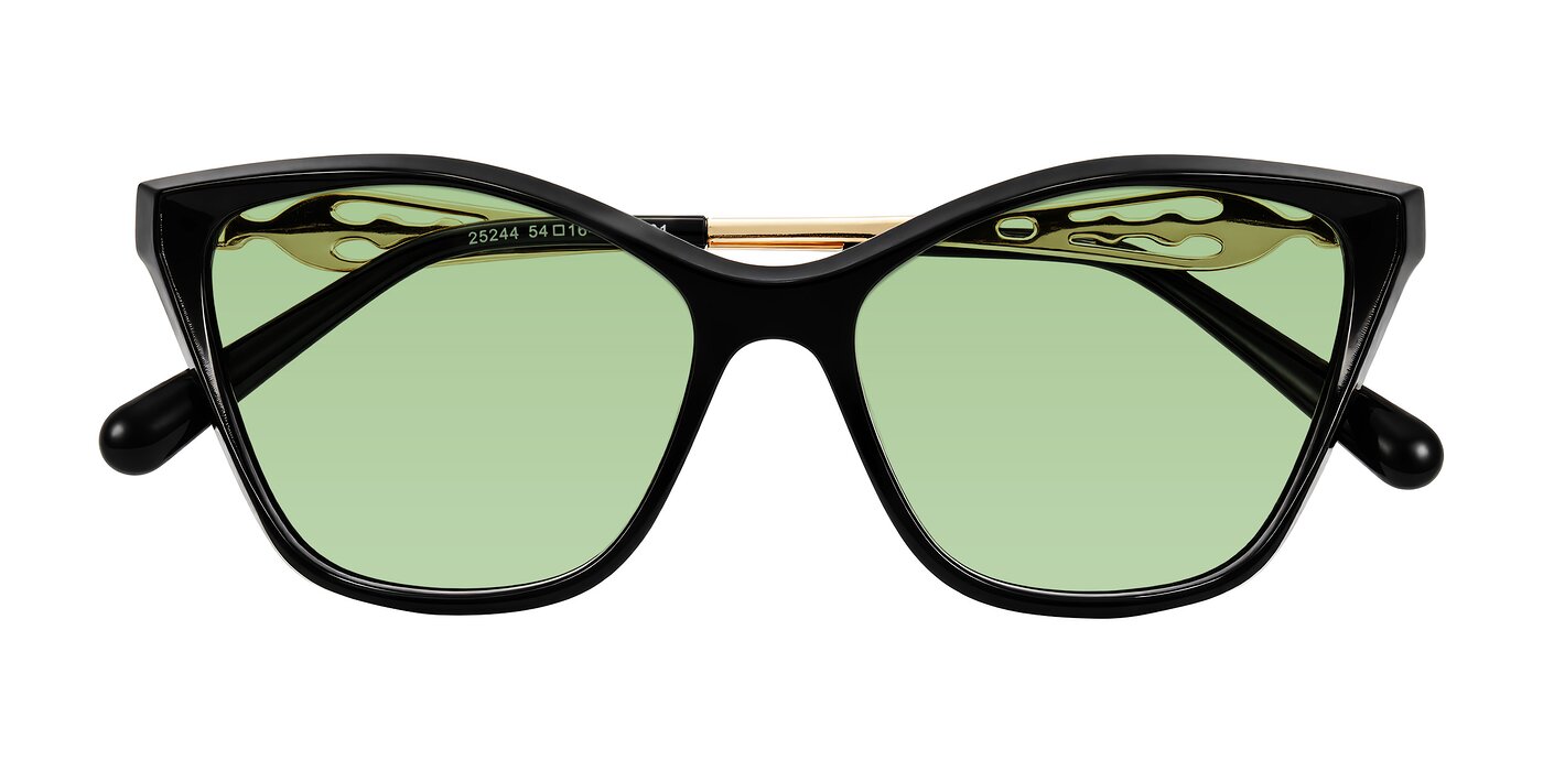 Aspen - Black Tinted Sunglasses