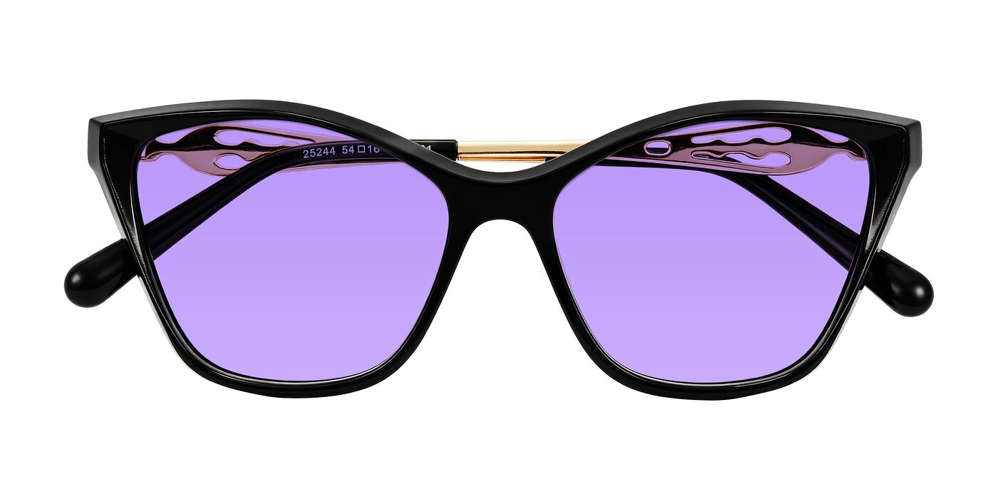 Aspen - Black Tinted Sunglasses