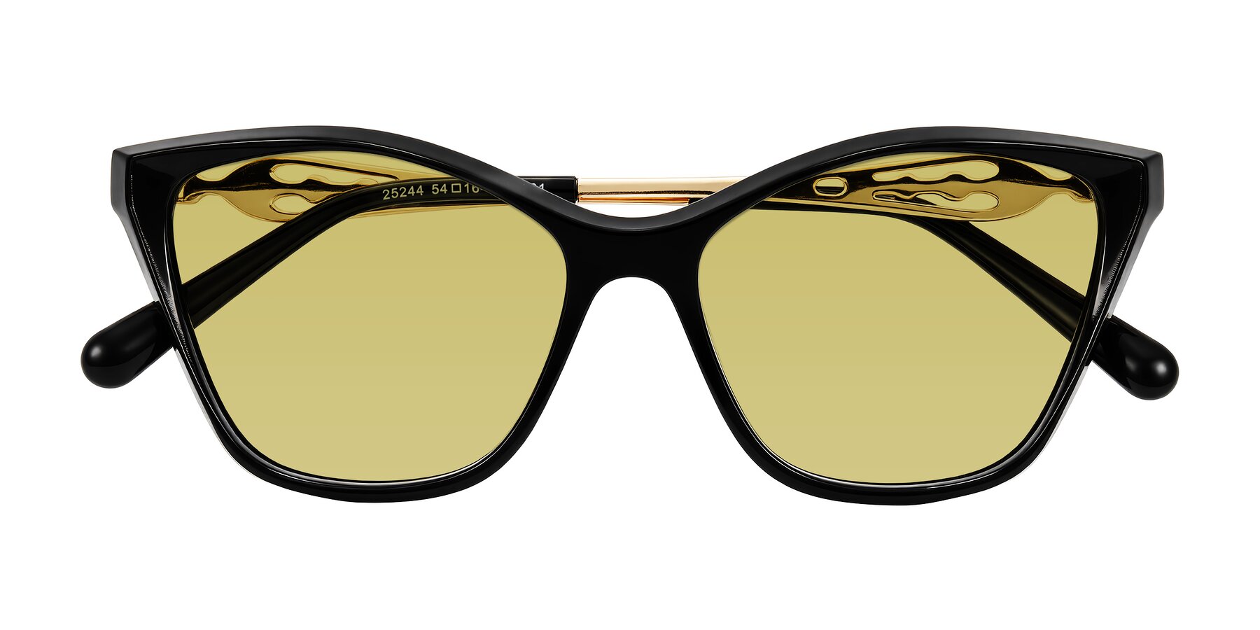 Folded Front of Aspen in Black with Medium Champagne Tinted Lenses