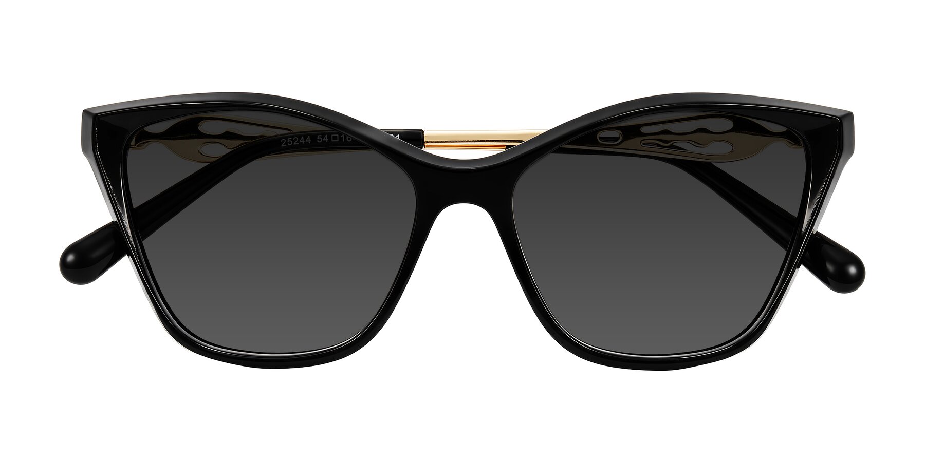 Folded Front of Aspen in Black with Gray Tinted Lenses