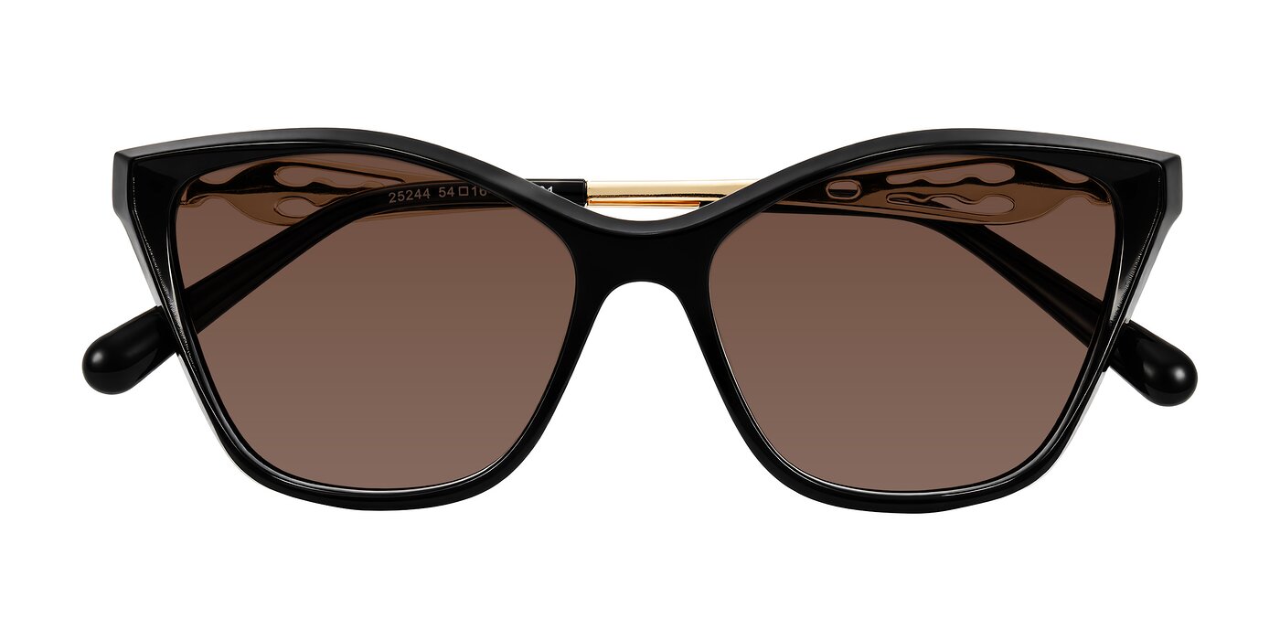 Aspen - Black Tinted Sunglasses
