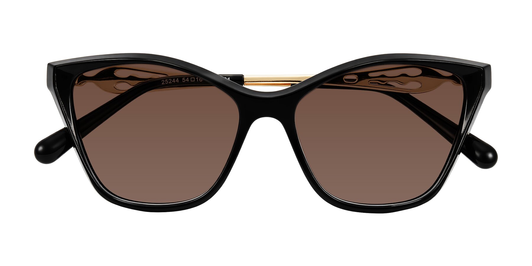 Folded Front of Aspen in Black with Brown Tinted Lenses