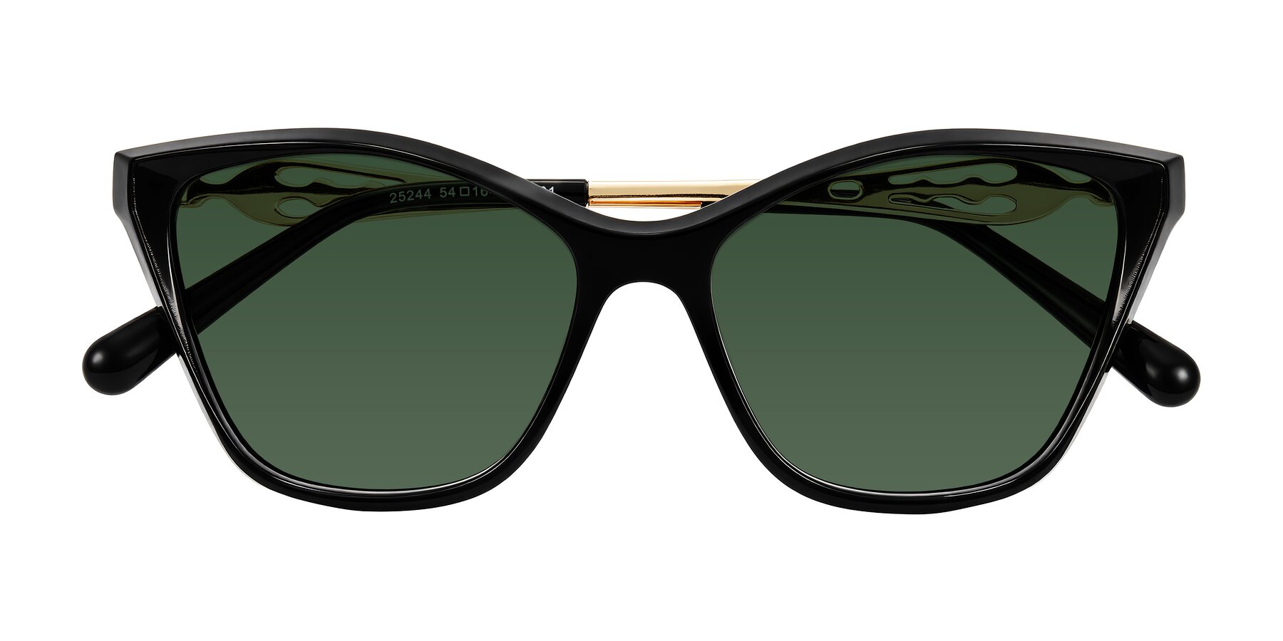 Folded Front of Aspen in Black with Green Tinted Lenses