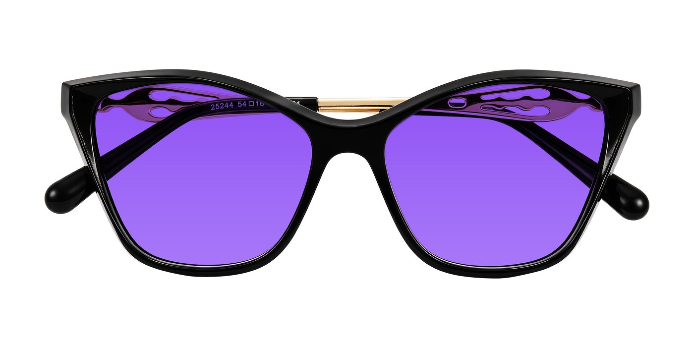 Aspen - Black Tinted Sunglasses