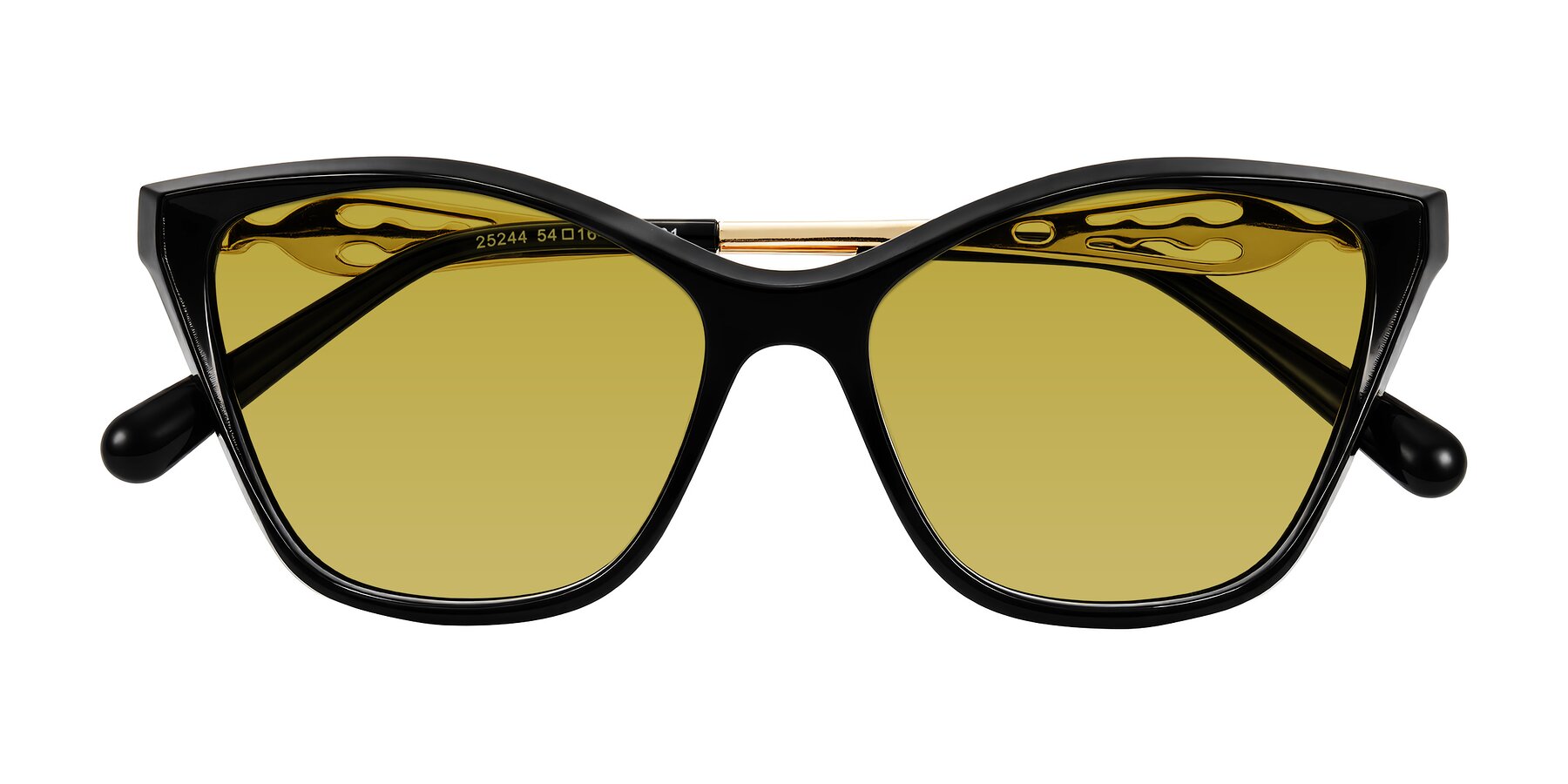 Folded Front of Aspen in Black with Champagne Tinted Lenses