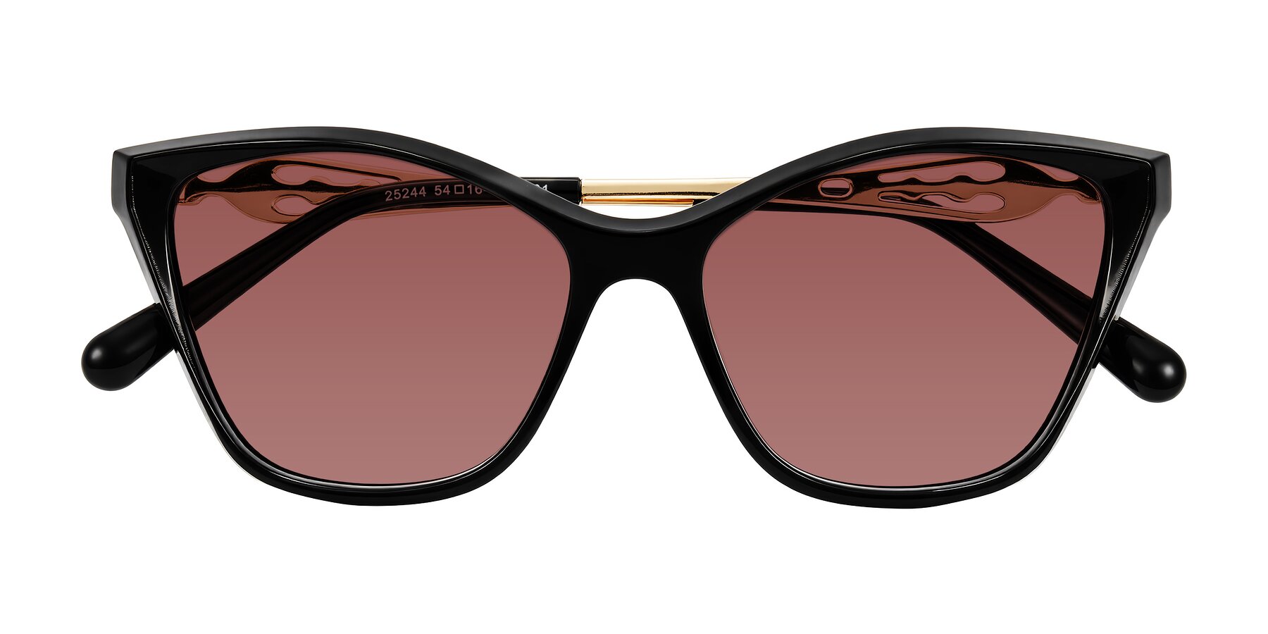 Folded Front of Aspen in Black with Garnet Tinted Lenses