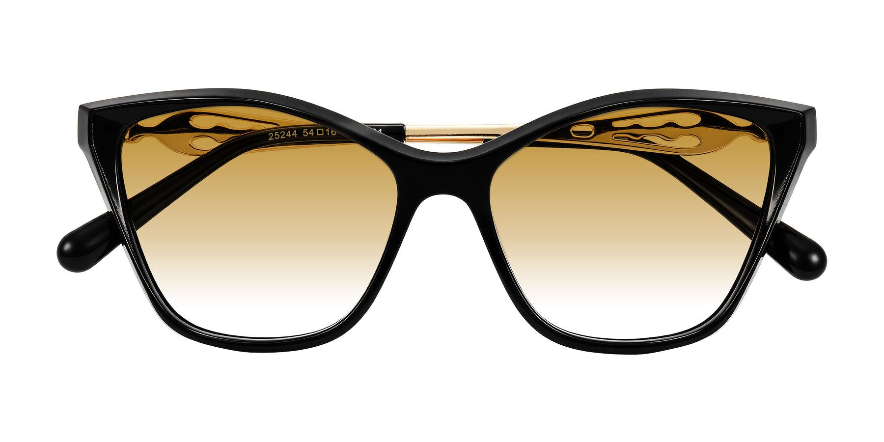 Folded Front of Aspen in Black with Champagne Gradient Lenses