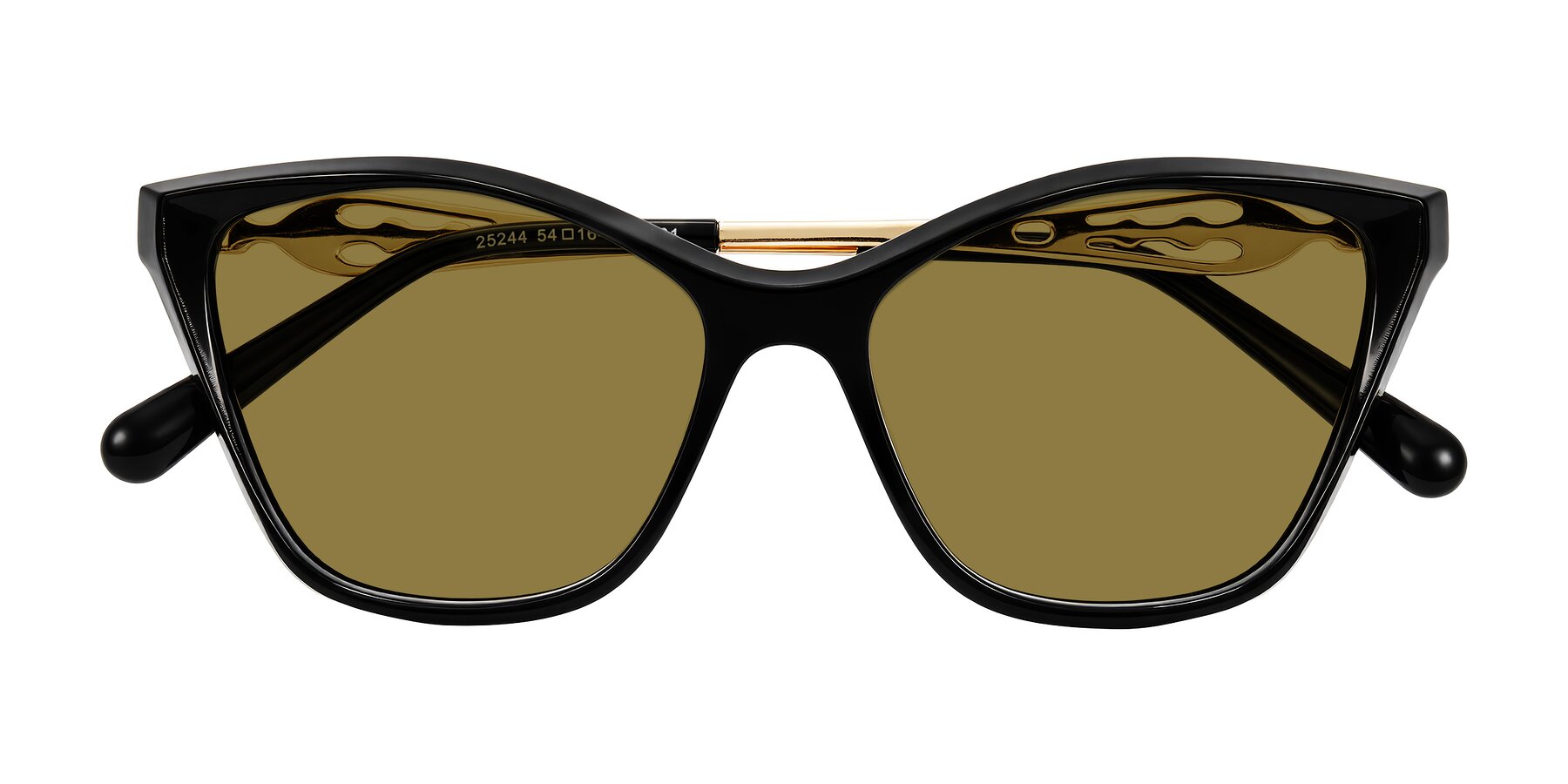 Folded Front of Aspen in Black with Brown Polarized Lenses