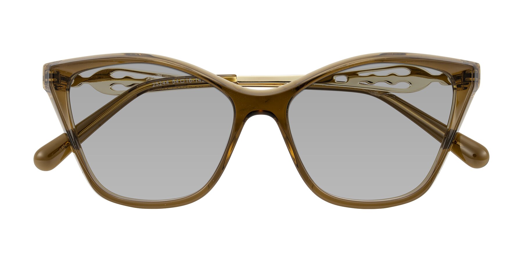 Folded Front of Aspen in Transparent Brown with Light Gray Tinted Lenses