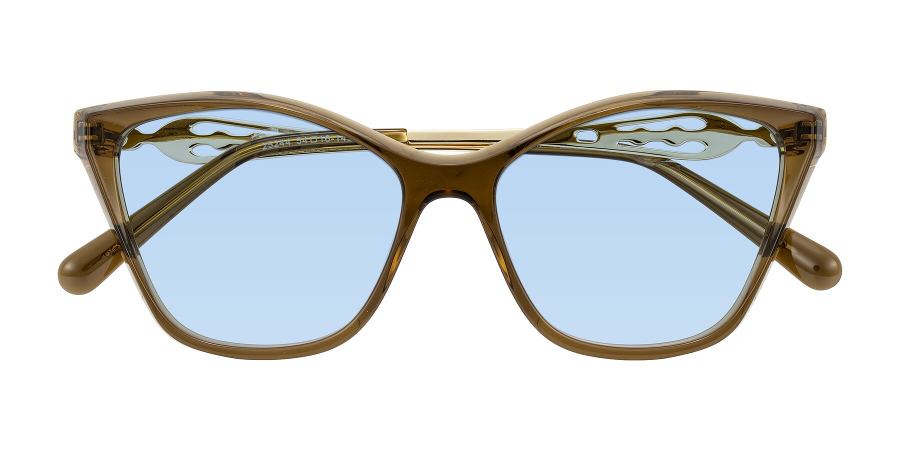 Folded Front of Aspen in Transparent Brown with Light Blue Tinted Lenses