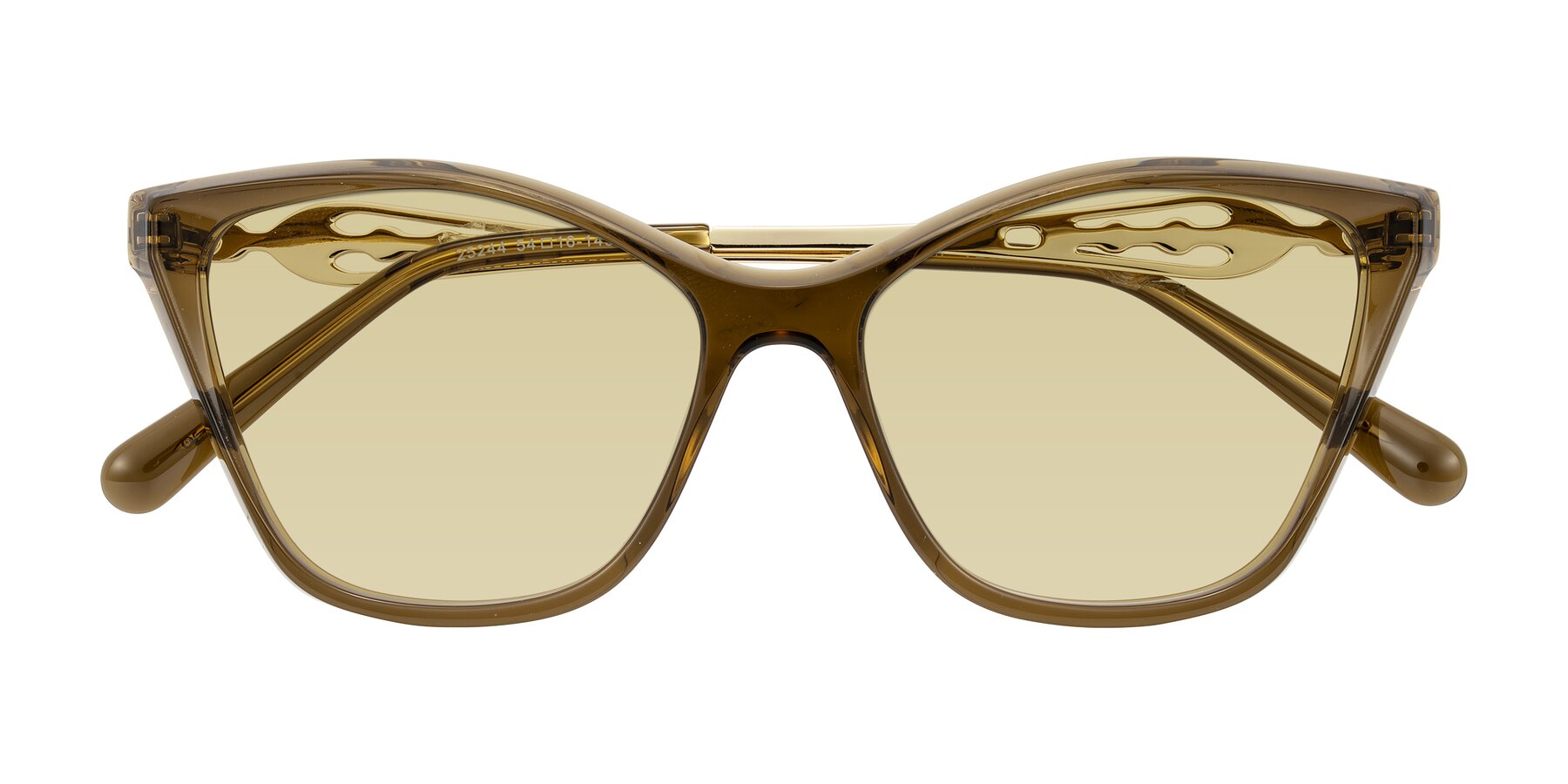 Folded Front of Aspen in Transparent Brown with Light Champagne Tinted Lenses
