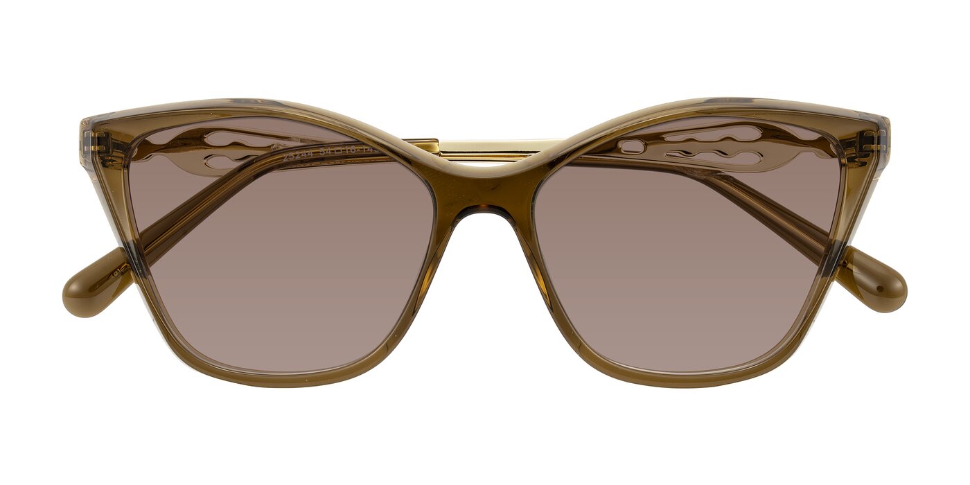 Aspen - Transparent Brown Tinted Sunglasses