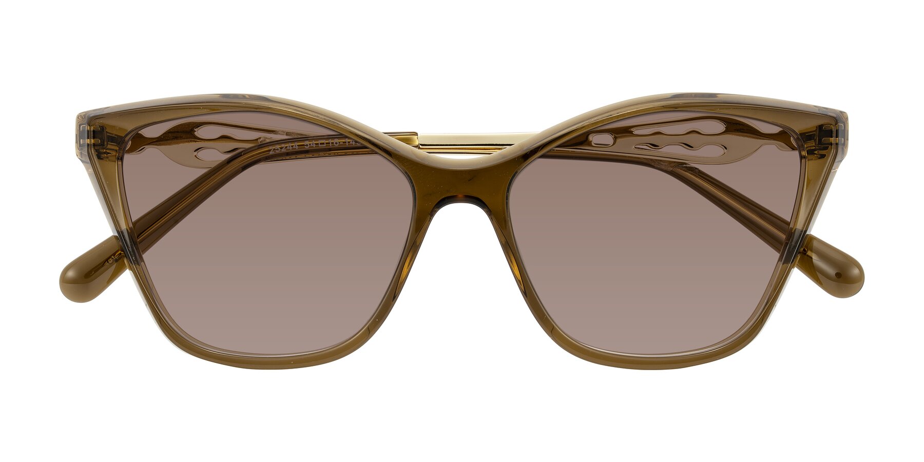 Folded Front of Aspen in Transparent Brown with Medium Brown Tinted Lenses