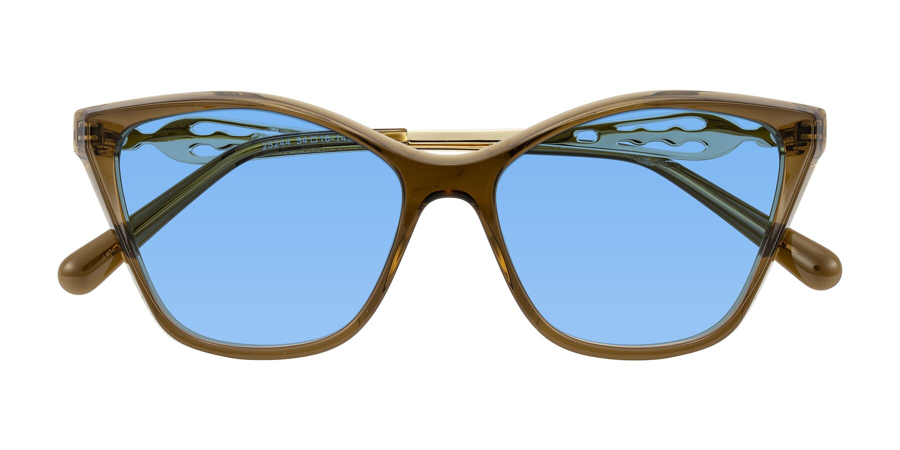 Folded Front of Aspen in Transparent Brown with Medium Blue Tinted Lenses