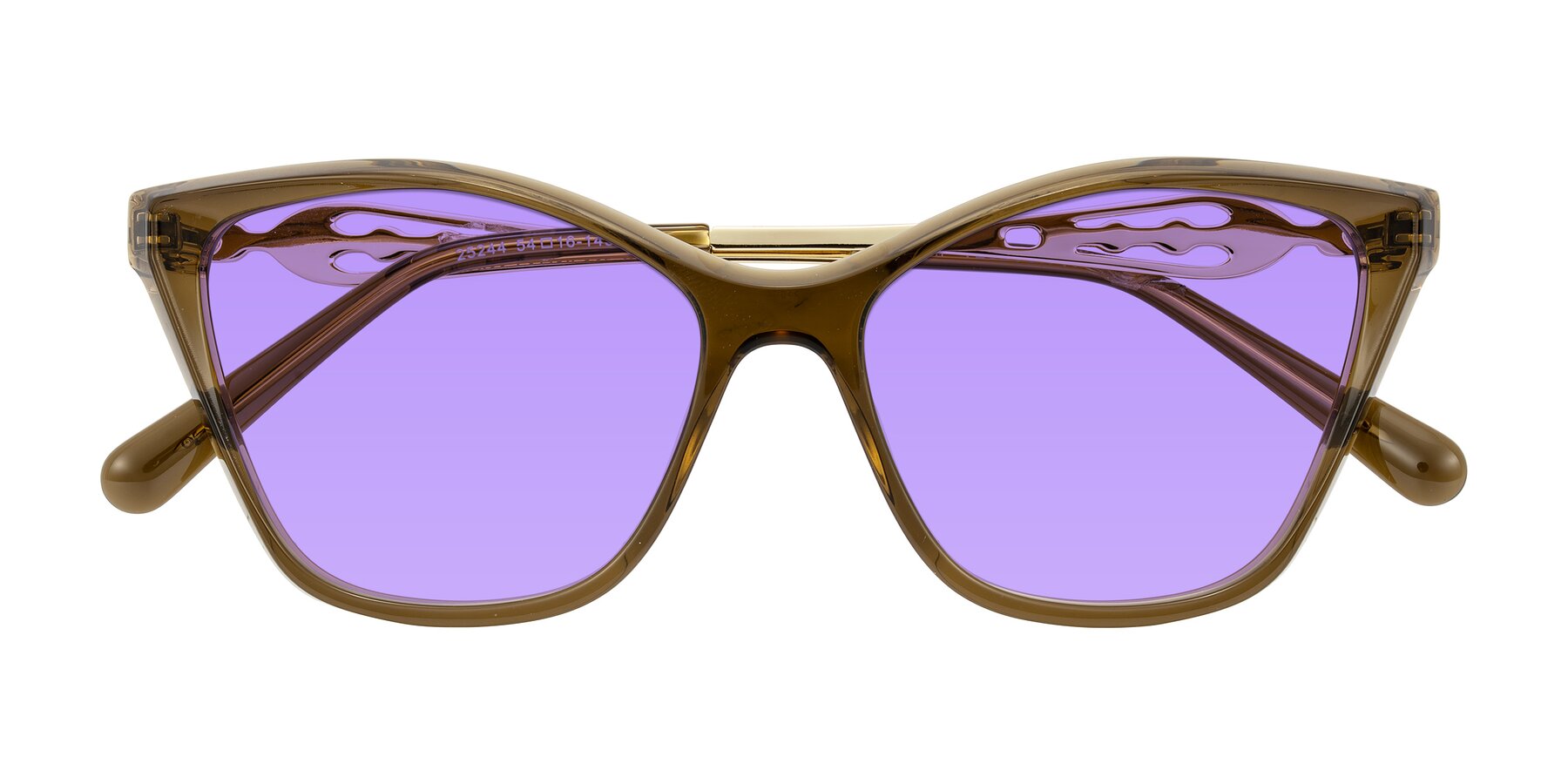 Folded Front of Aspen in Transparent Brown with Medium Purple Tinted Lenses