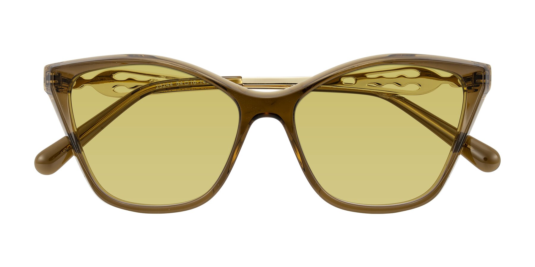 Folded Front of Aspen in Transparent Brown with Medium Champagne Tinted Lenses