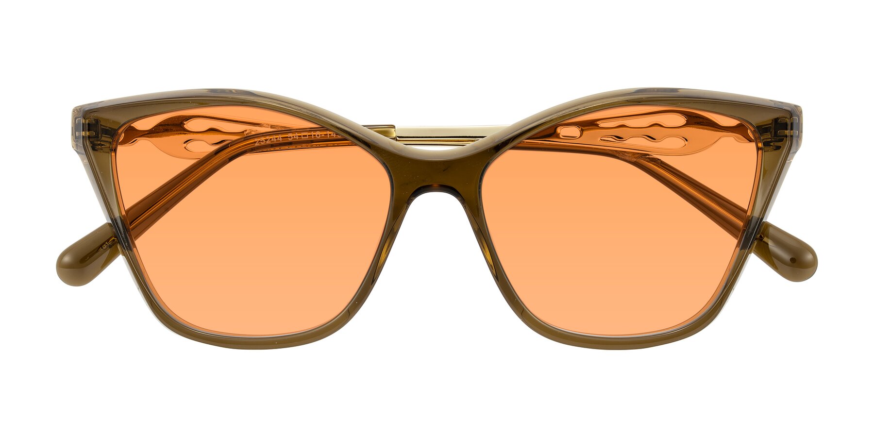 Folded Front of Aspen in Transparent Brown with Medium Orange Tinted Lenses
