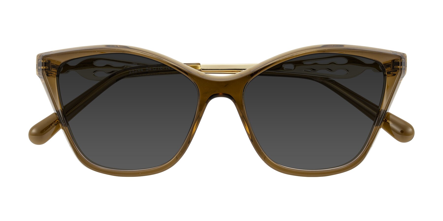 Folded Front of Aspen in Transparent Brown with Gray Tinted Lenses
