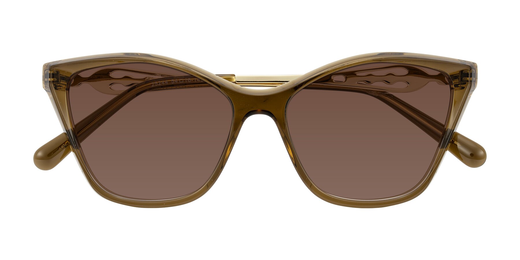 Folded Front of Aspen in Transparent Brown with Brown Tinted Lenses