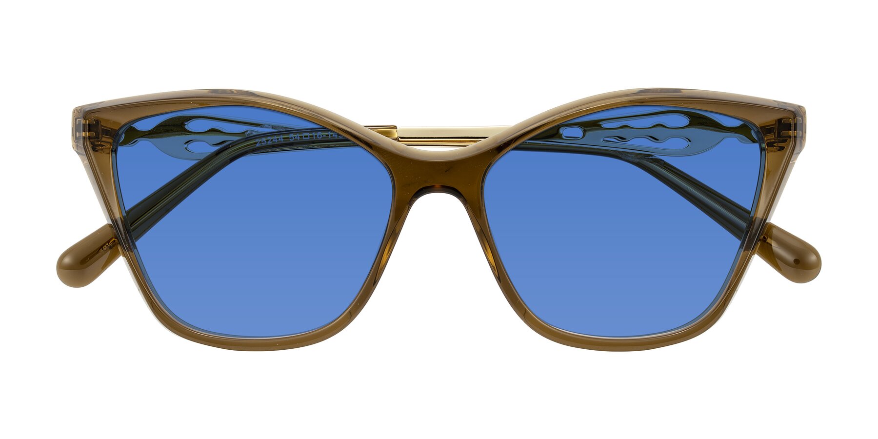 Folded Front of Aspen in Transparent Brown with Blue Tinted Lenses