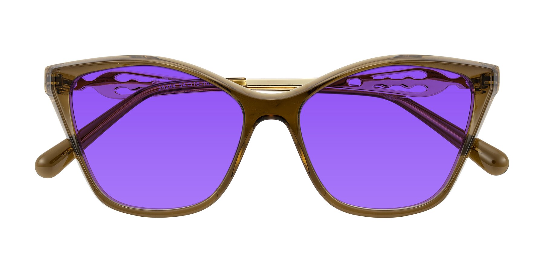 Folded Front of Aspen in Transparent Brown with Purple Tinted Lenses