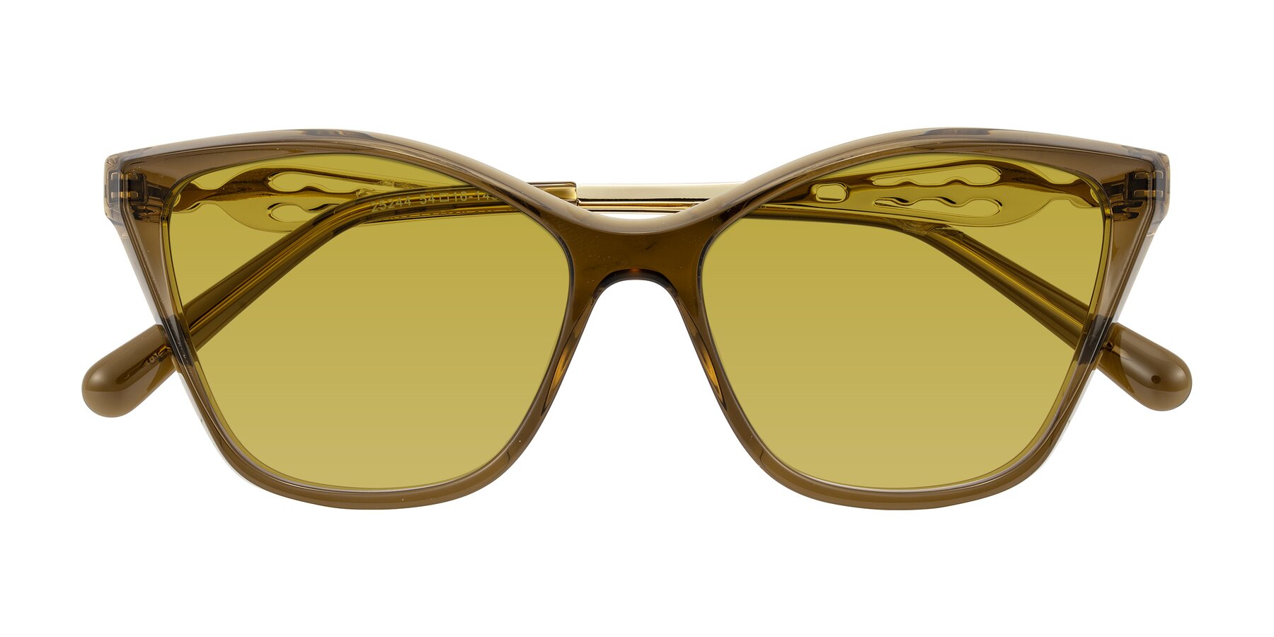 Folded Front of Aspen in Transparent Brown with Champagne Tinted Lenses