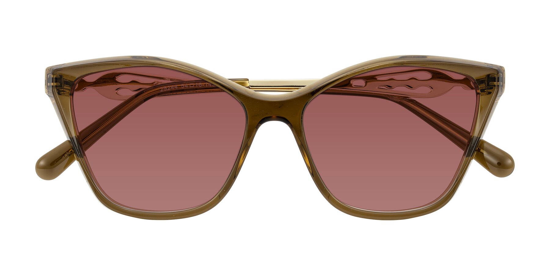 Folded Front of Aspen in Transparent Brown with Garnet Tinted Lenses
