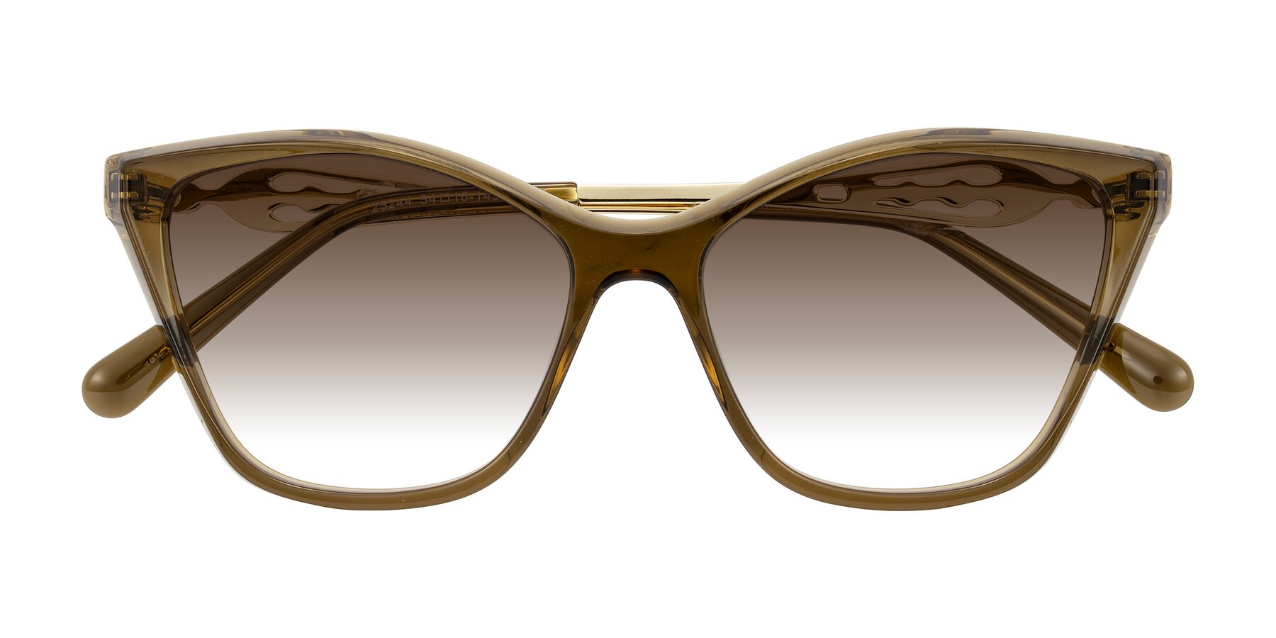 Folded Front of Aspen in Transparent Brown with Brown Gradient Lenses