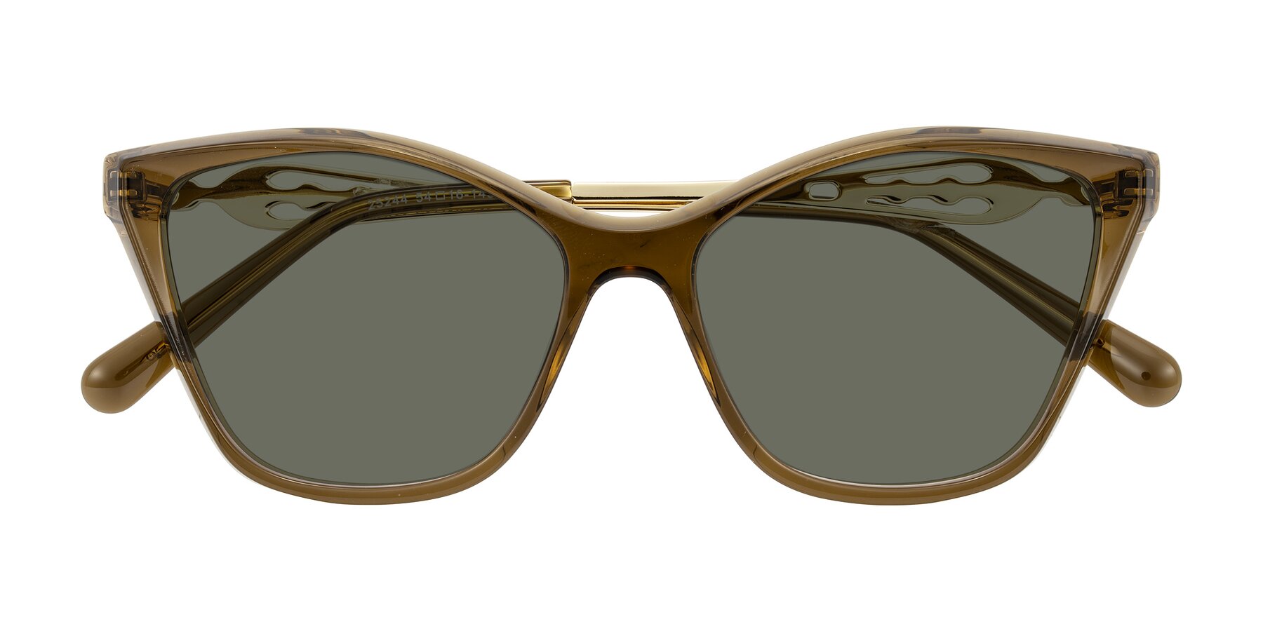 Folded Front of Aspen in Transparent Brown with Gray Polarized Lenses