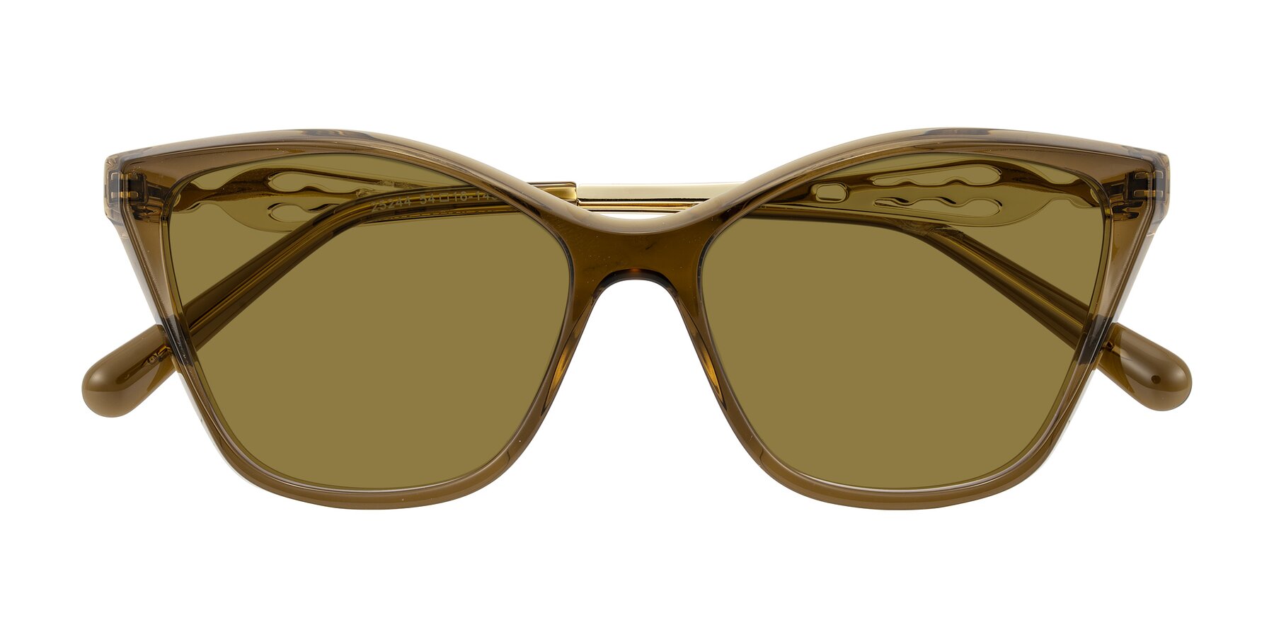 Folded Front of Aspen in Transparent Brown with Brown Polarized Lenses