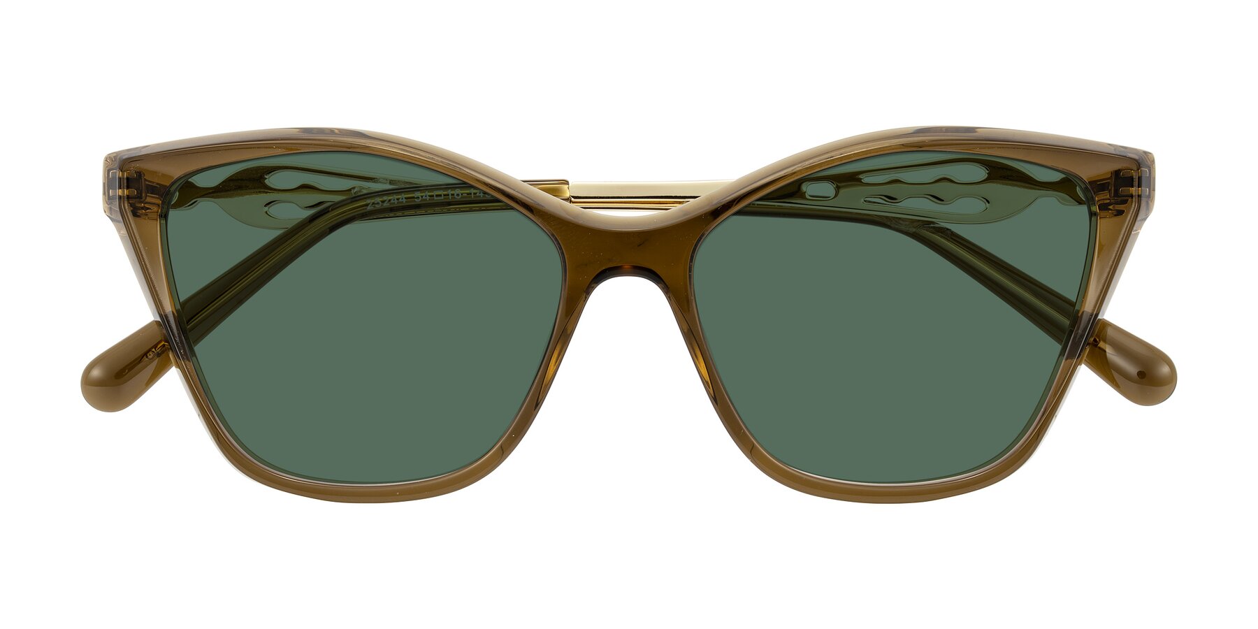 Folded Front of Aspen in Transparent Brown with Green Polarized Lenses