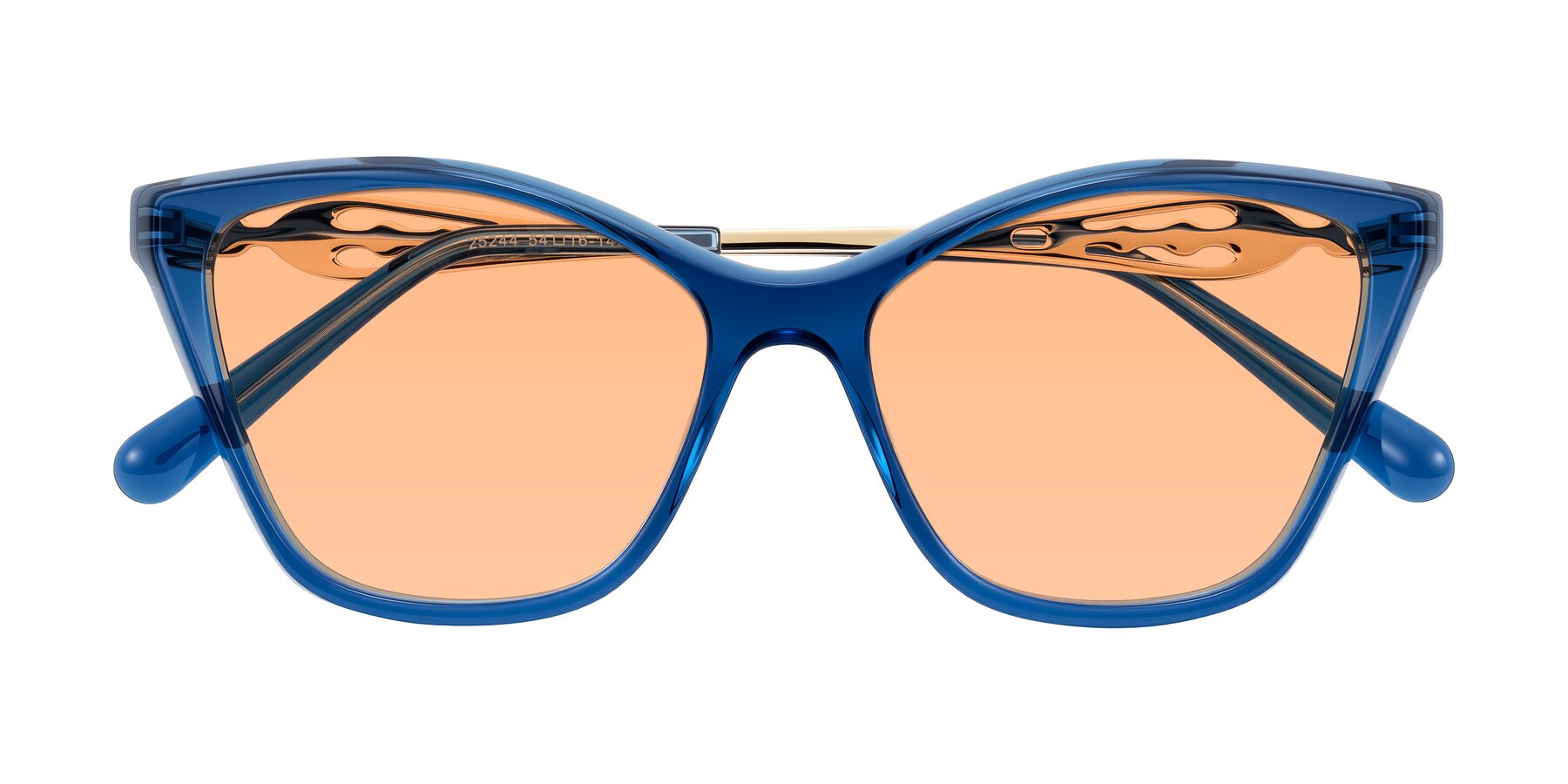 Folded Front of Aspen in Transparent Blue with Light Orange Tinted Lenses