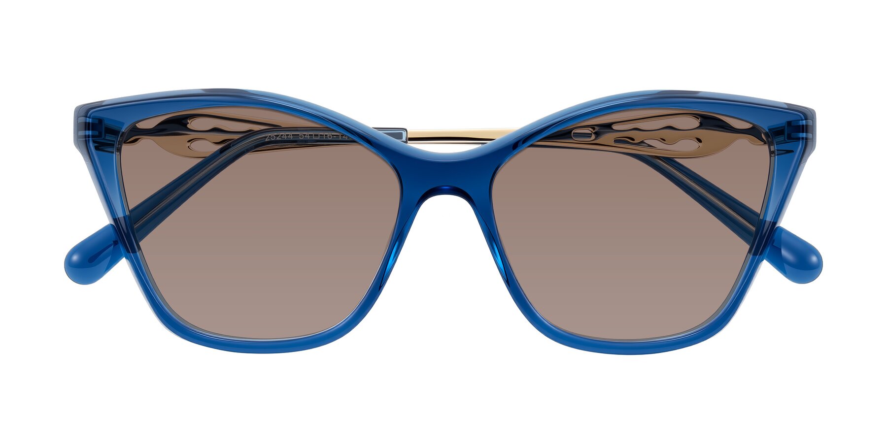 Folded Front of Aspen in Transparent Blue with Medium Brown Tinted Lenses