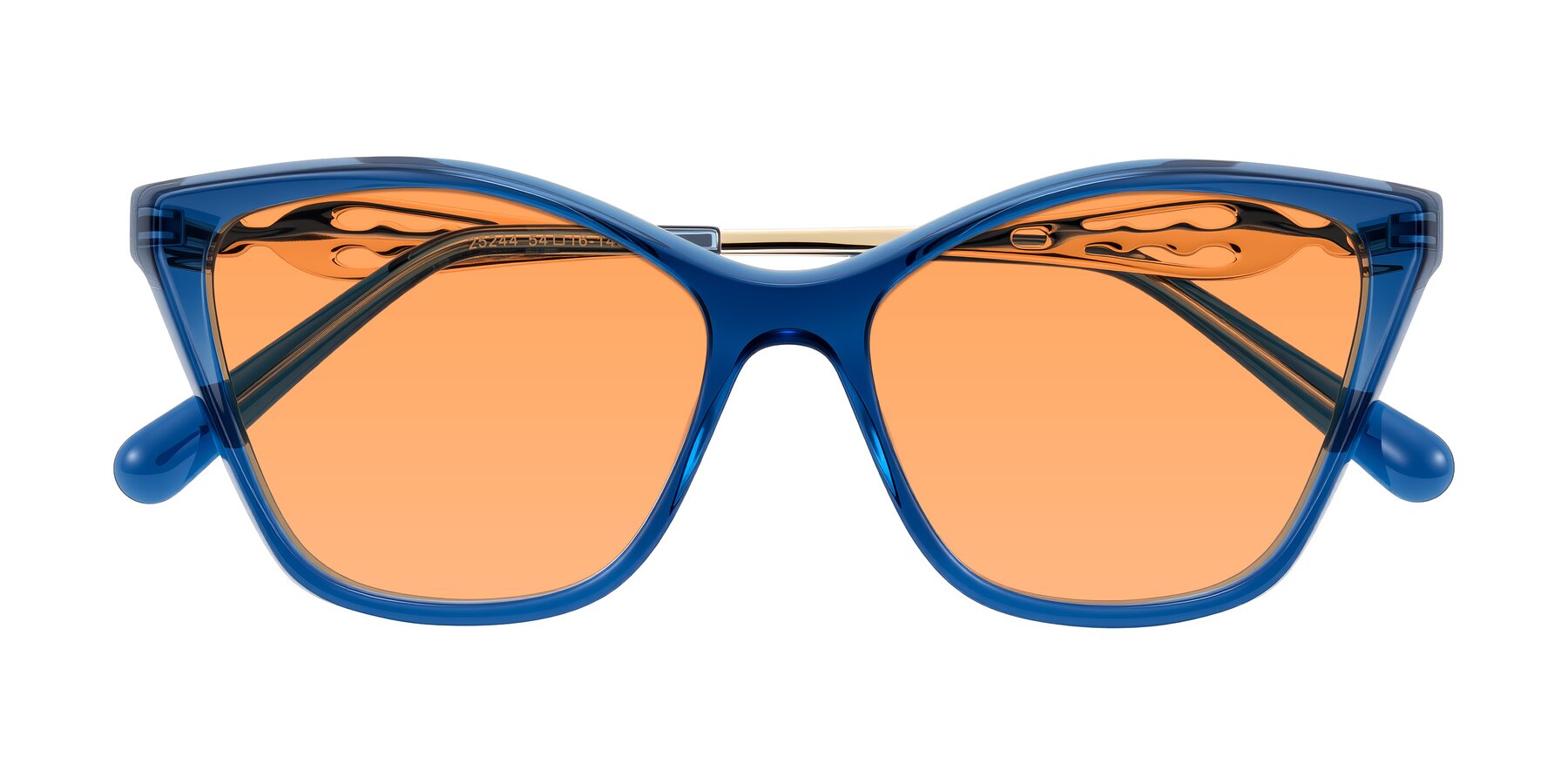 Folded Front of Aspen in Transparent Blue with Medium Orange Tinted Lenses