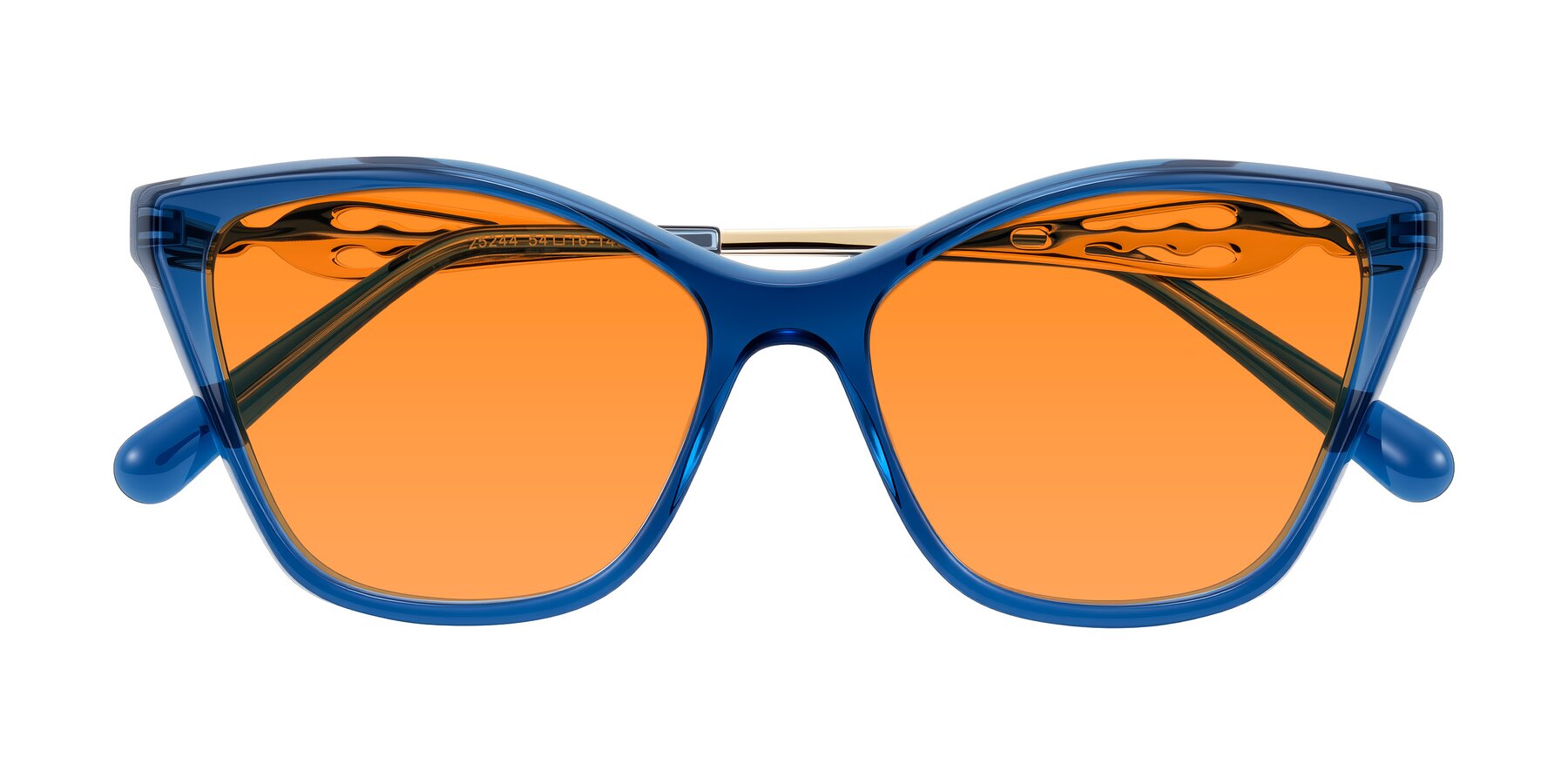 Folded Front of Aspen in Transparent Blue with Orange Tinted Lenses