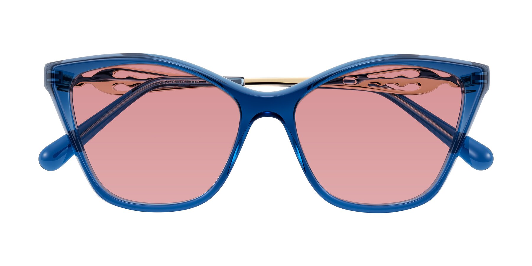 Folded Front of Aspen in Transparent Blue with Medium Garnet Tinted Lenses