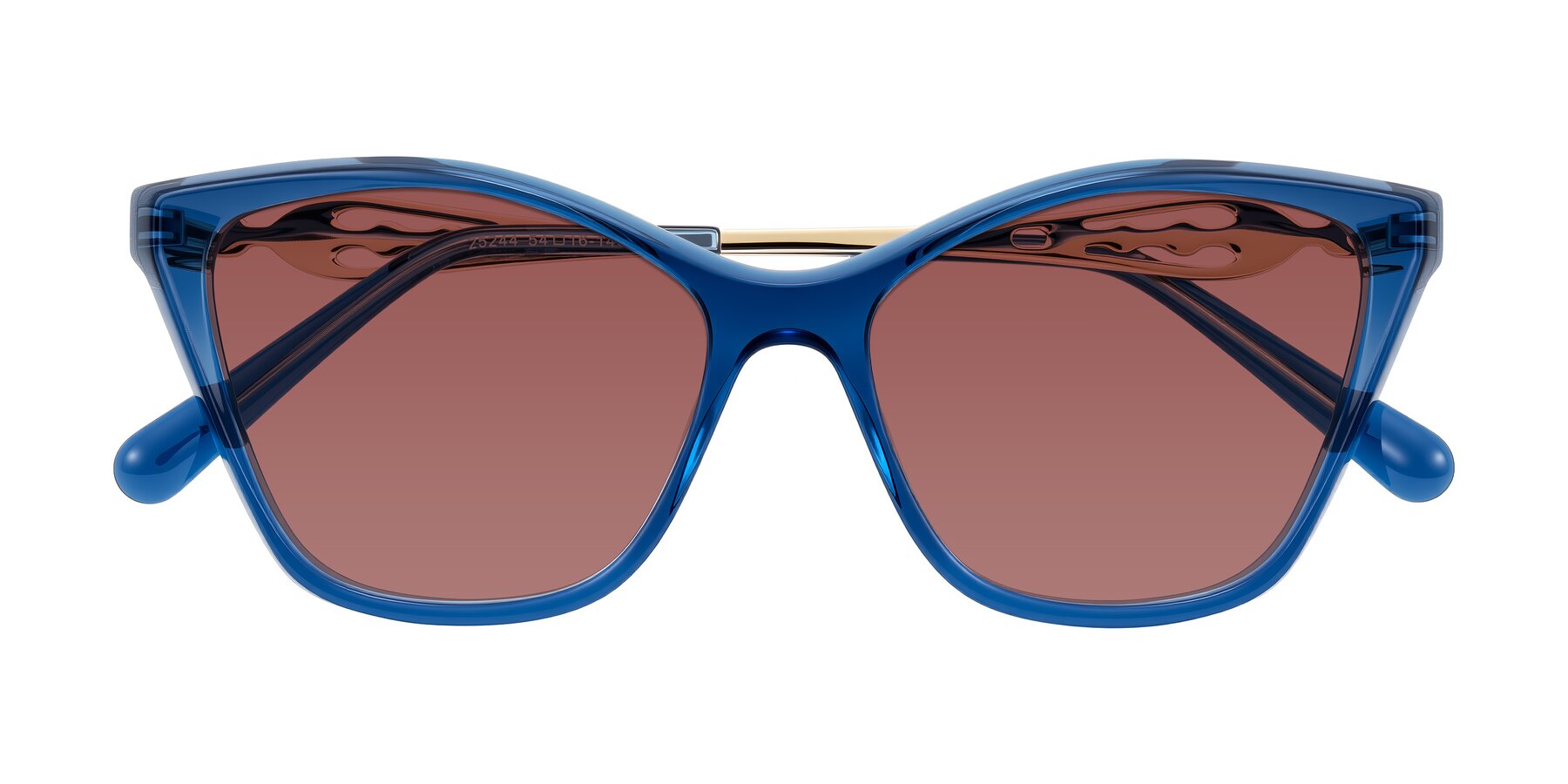 Folded Front of Aspen in Transparent Blue with Garnet Tinted Lenses