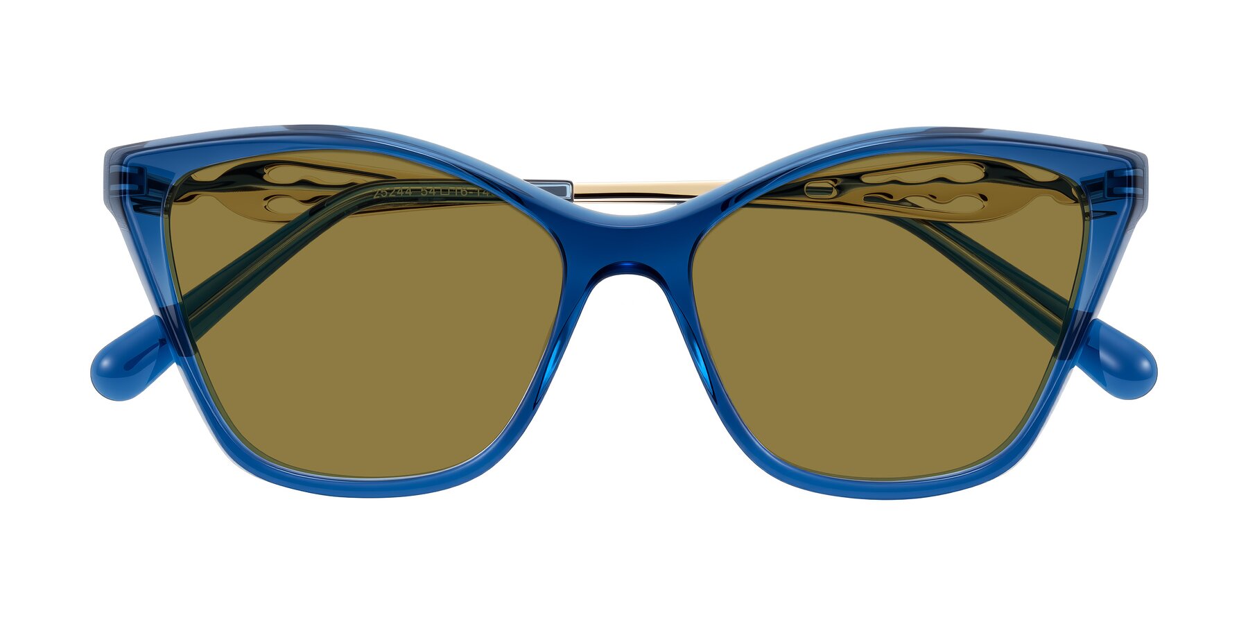 Folded Front of Aspen in Transparent Blue with Brown Polarized Lenses
