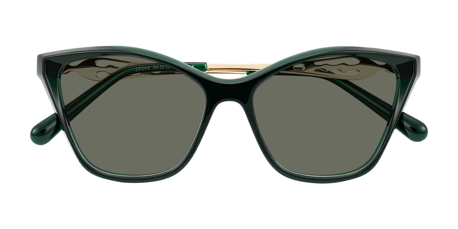 Folded Front of Aspen in Jade Green with Gray Polarized Lenses
