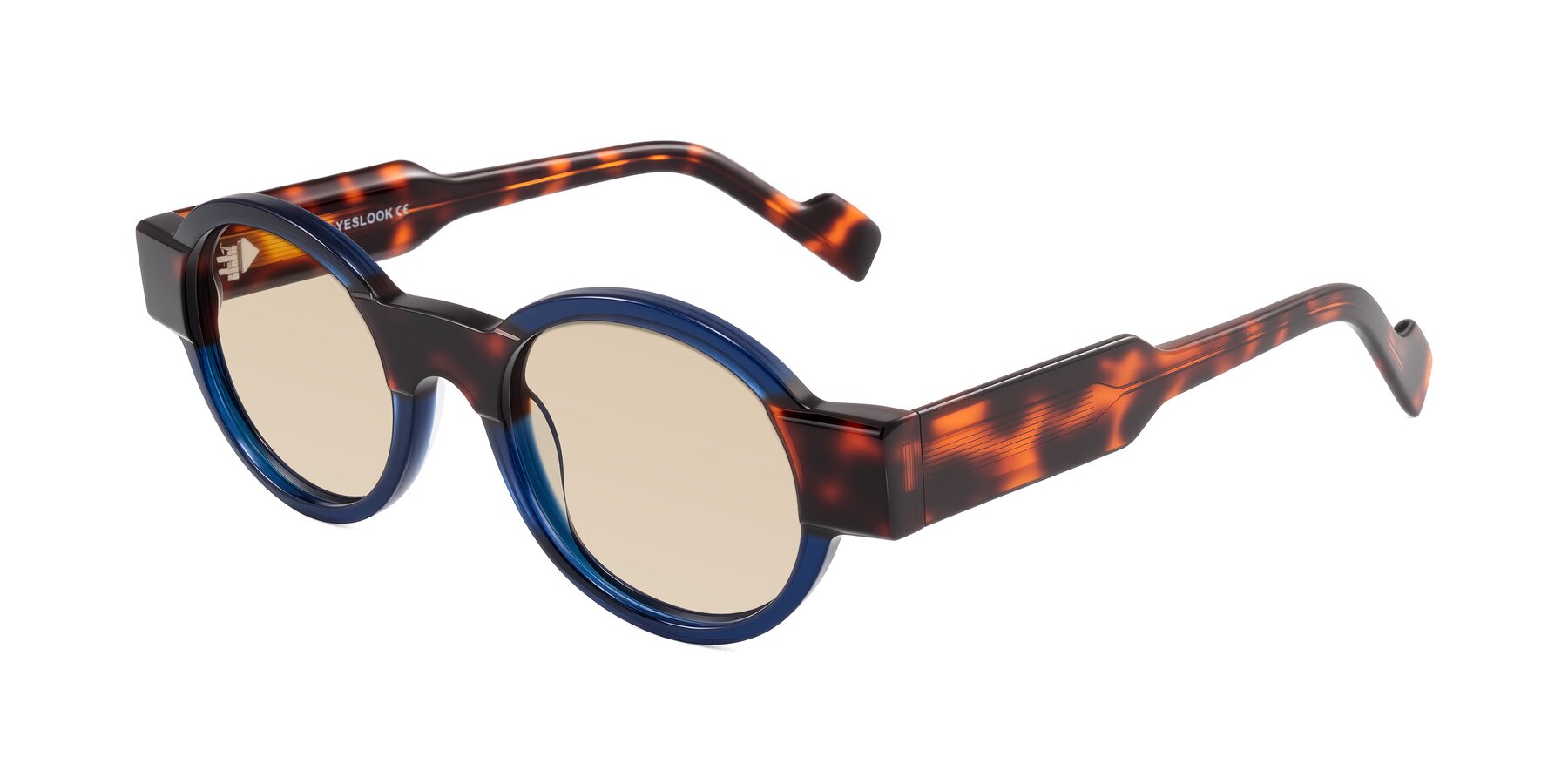 Angle of Talori in Transparent Blue/Tortoise with Light Brown Tinted Lenses