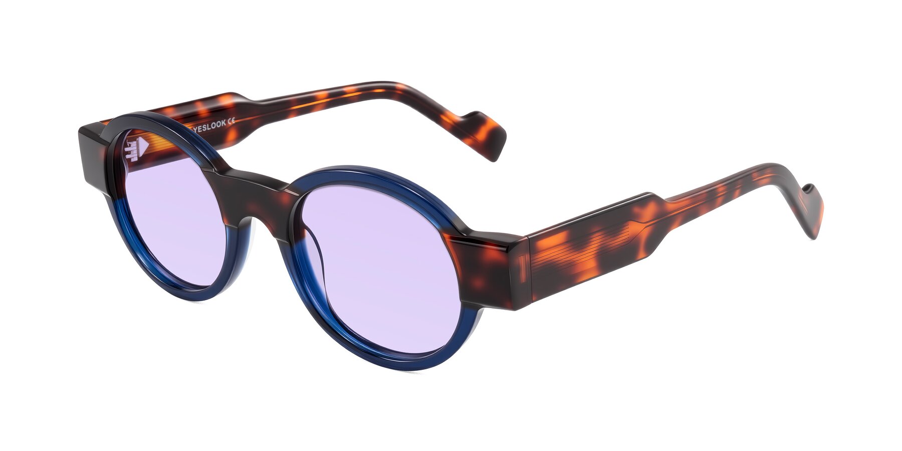 Angle of Talori in Transparent Blue/Tortoise with Light Purple Tinted Lenses