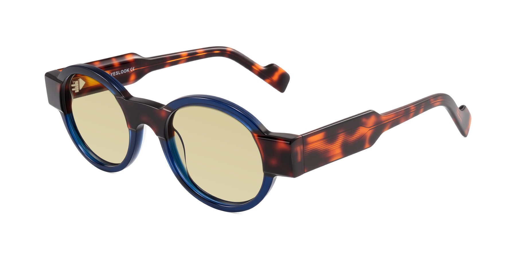 Angle of Talori in Transparent Blue/Tortoise with Light Champagne Tinted Lenses