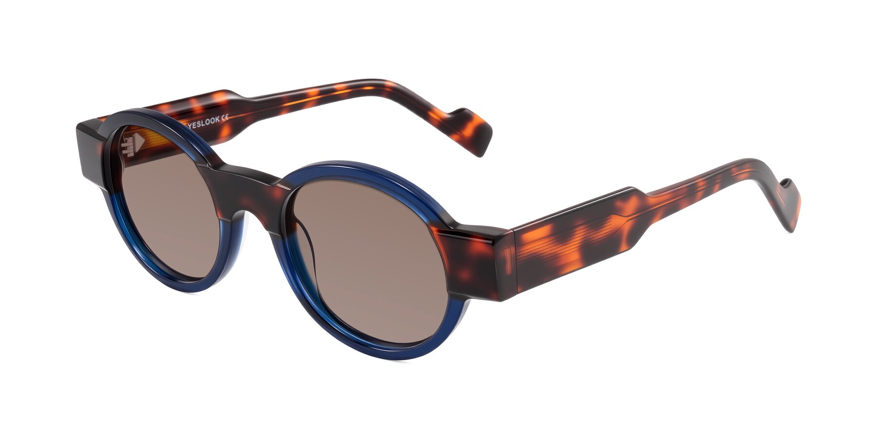 Angle of Talori in Transparent Blue/Tortoise with Medium Brown Tinted Lenses